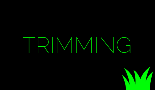 Trimming Service